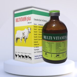 Multivitamin plus